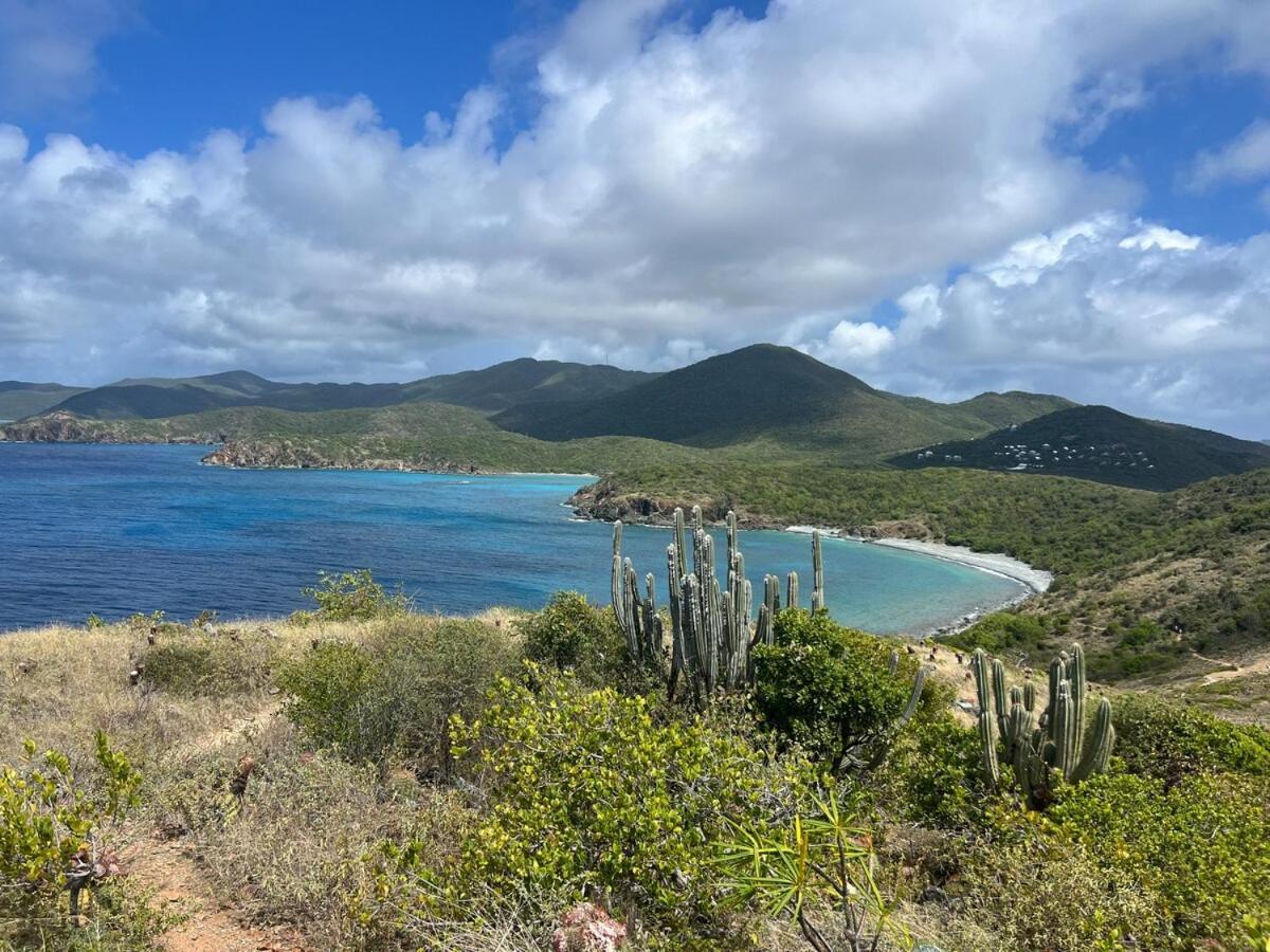 Blue Pearl Villa In St John Usvi Coral Bay Exterior photo